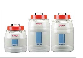 Thermo ScientificTM LocatorTM 系列液氮罐