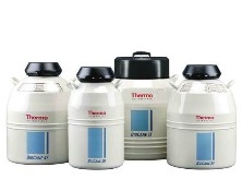 Thermo ScientificTM Bio-caneTM 系列液氮罐