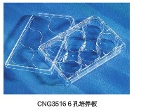 Corning® Costar® 6,12,24 及 48 孔细胞培养板