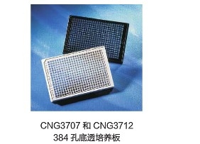 Corning® 384 孔细胞培养板